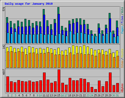 Daily usage for January 2010
