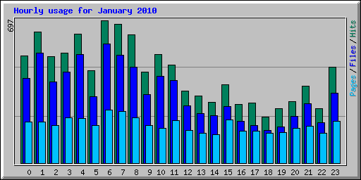 Hourly usage for January 2010