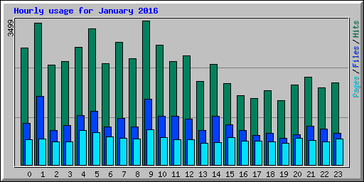 Hourly usage for January 2016