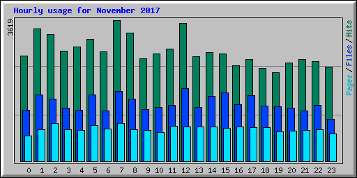 Hourly usage for November 2017
